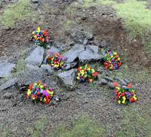 Load image into Gallery viewer, WWScenics 6mm Mixed Flower Tufts