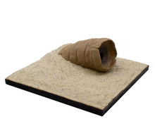 Load image into Gallery viewer, Base Ready Sand-Dune