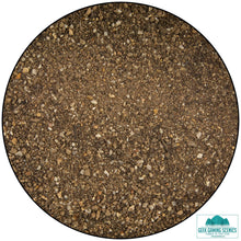 Load image into Gallery viewer, Forest Path-Ground Coverage-Geek Gaming