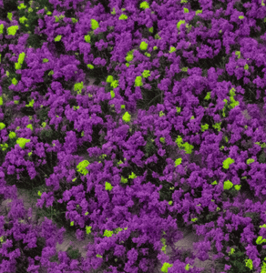 WWScenics 4mm Heather Tufts