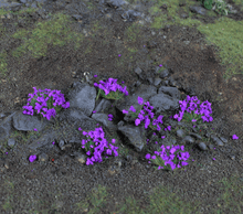 Load image into Gallery viewer, WWScenics 4mm Heather Tufts
