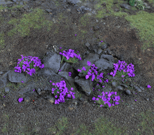 WWScenics 4mm Heather Tufts