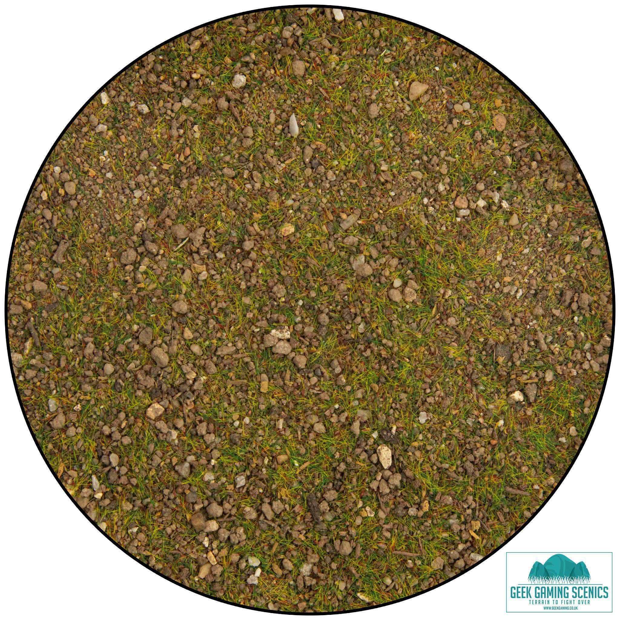 Pine Forest Ground cover